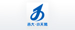 長(zhǎng)春吉大·小天鵝